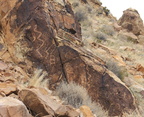 Petroglyphs at Parowan Gap