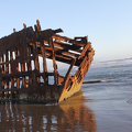 Wreck of the Peter Iredale