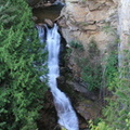 Myrtle Falls